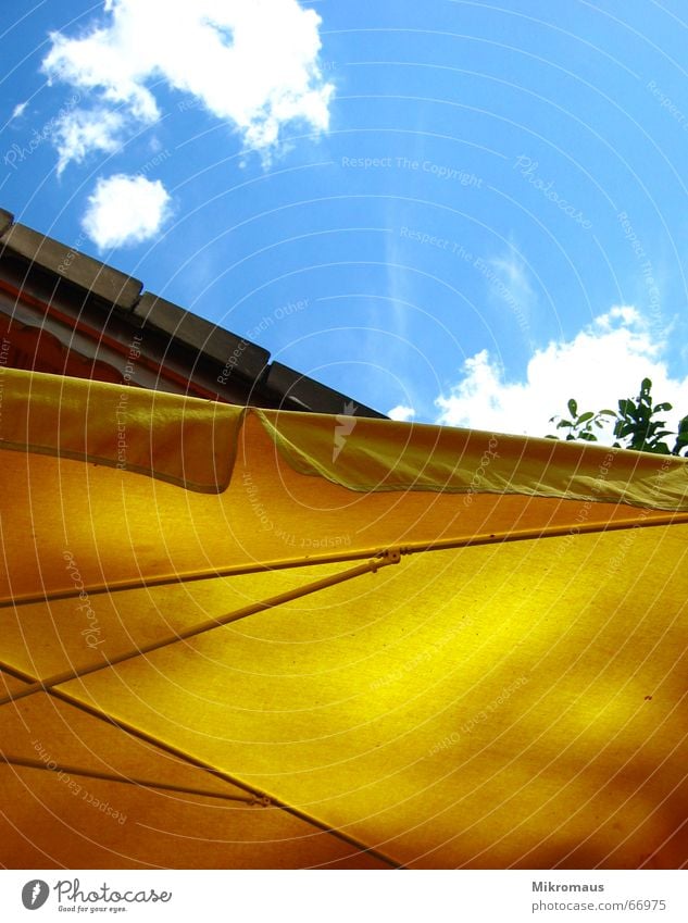 Look up there. Summer Sun Sunshade Clouds Sky Blue Yellow Relaxation Vacation & Travel Break Above Sun sail Weather protection Protection Garden