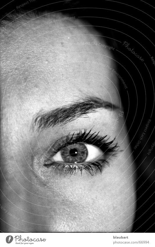 composition Woman Forehead Face Eyelash Eyebrow Cheek Pupil Black White Nasal bone Eyes Nose Head Iris