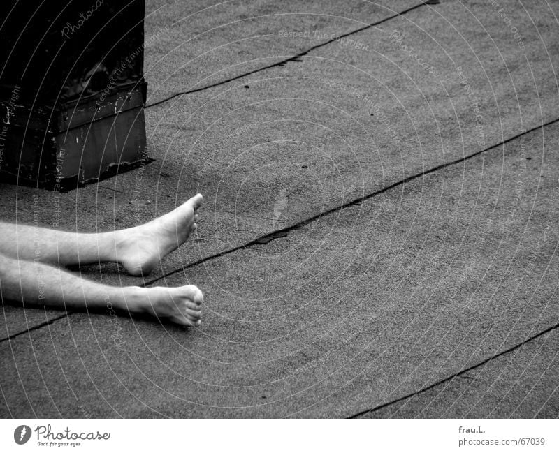 in broad daylight Flat roof Tar paper Pallid Crime scene Men's leg Thriller Naked Doze Roof Man Unshaven Sleep Summer Criminality Human being Fear Panic Legs