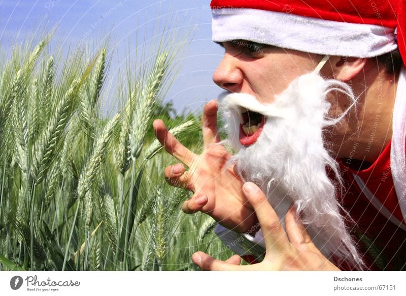 KLAUS LOSES EVERYTHING Santa Claus Field Gesture Facial hair Cap Anger Scream Looking Aggravation Hatred Costume Evil Annoy Stress Frustration Cornfield Lost
