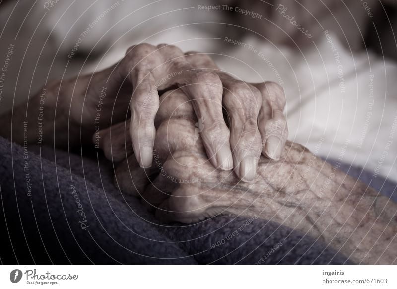 hundred ones Care of the elderly Nursing Illness Female senior Woman Grandmother Senior citizen Arm Hand Fingers 1 Human being 60 years and older Old Lie Wait