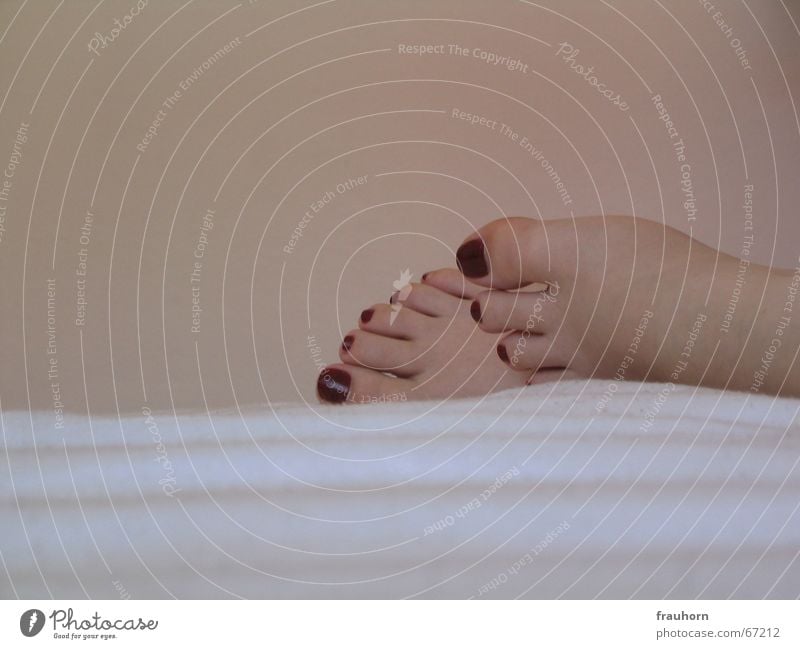 slackfoot Soft Nail polish Bed Relaxation Sleep Safety (feeling of) Flat (apartment) Feet Blanket Pedicure