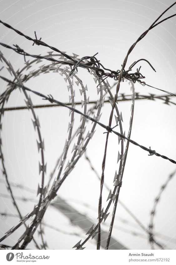 Barbed wire and grey weather Winter Bad weather Fog Aggression Authentic Threat Creepy Thorny Gray Moody Disciplined Fear Animosity Force Society Cold War