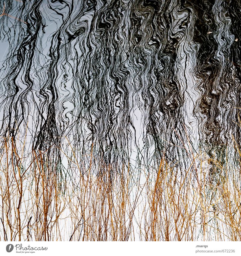 le hairdo Elegant Style Nature Elements Water Bushes Exceptional Wet Moody Esthetic Surrealism Irritation Wavy line Background picture Colour photo