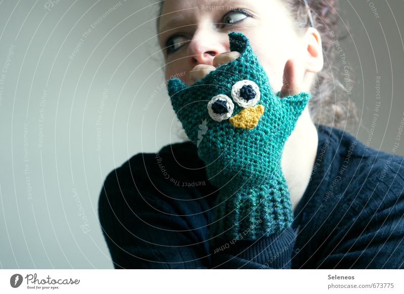 owl mitten Leisure and hobbies Handcrafts Knit Crochet Human being Feminine Woman Adults Face Fingers 1 Autumn Winter Gloves Animal Owl birds Freeze