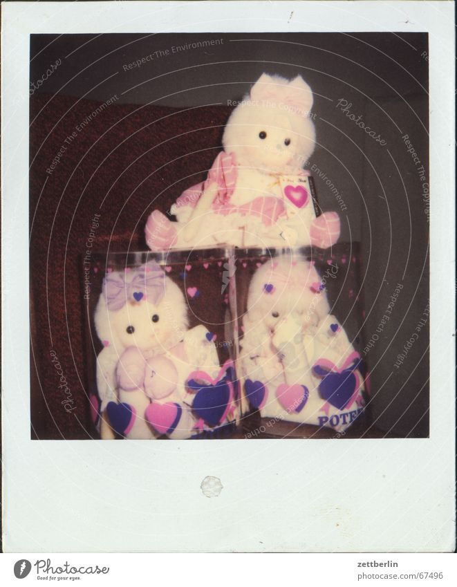 Polaroid V Doll Toys Heart rosaleinchen gripping Waldorf pestalozzi montessori Infancy
