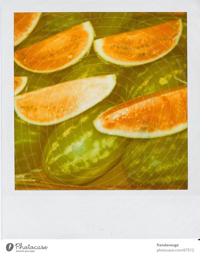 melon quarter Retro Fruit Vegetable Quarter Markets Healthy Polaroid