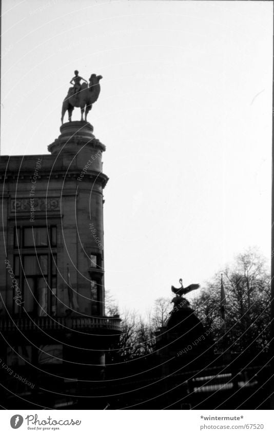 **zoo** Zoo Camel Belgium Antwerp Gray scale value Edge Rider entrance next to the station centraal station Black & white photo analog and dirty