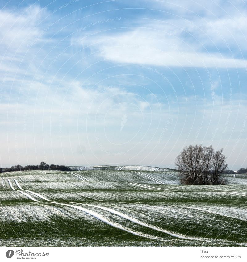 winter dress Environment Nature Landscape Plant Earth Sky Clouds Winter Ice Frost Snow Tree Field Hill Line Blue Green White Tracks Colour photo Deserted