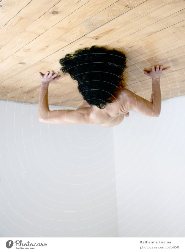 #675450 Body Skin Head Hair and hairstyles 1 Human being Black-haired Curl Wood Brown White Perspective Hang Ceiling Floor covering Woman Art Exceptional