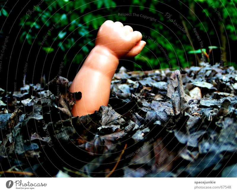 lost Hand Fist Toys Bury Leaf Decompose Doomed Loneliness Forest Dark Doll doll-poor Arm Needy