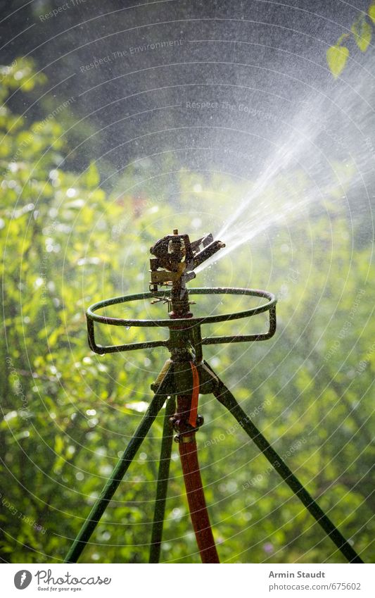 Large lawn sprinkler in action Summer Nature Water Plant Park Lawn sprinkler Green Moody Spring fever Anticipation Movement Joy Environment Colour photo