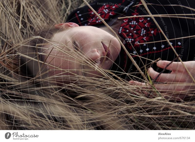 Portrait of a young woman lying in long yellow grass Young woman Youth (Young adults) Face by hand 18 - 30 years Adults Grass bushes Jacket brunette Long-haired
