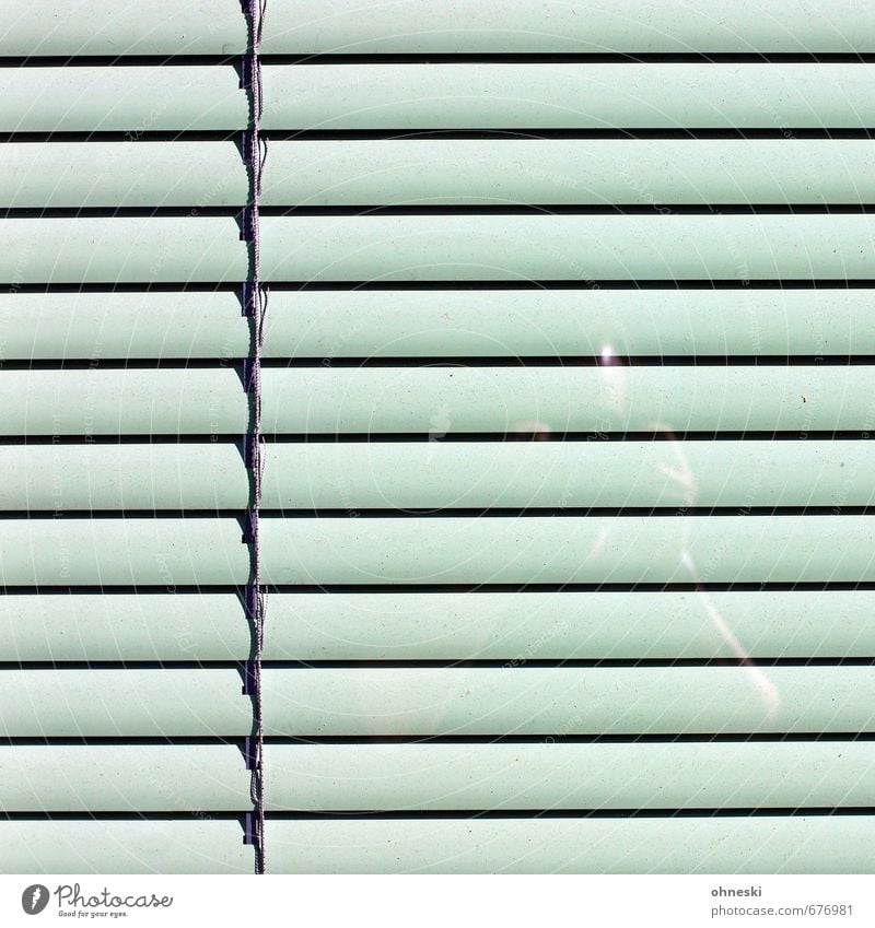 behind bars Human being 1 Facade Window Roller shutter Glass Green Self portrait Colour photo Subdued colour Exterior shot Abstract Pattern