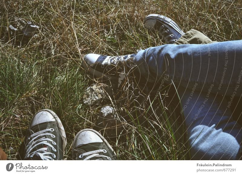 Pause in the partner look. Legs Feet 2 Human being Footwear Sneakers Sit Cool (slang) Loyal Calm Boredom Adventure Contentment Movement Loneliness