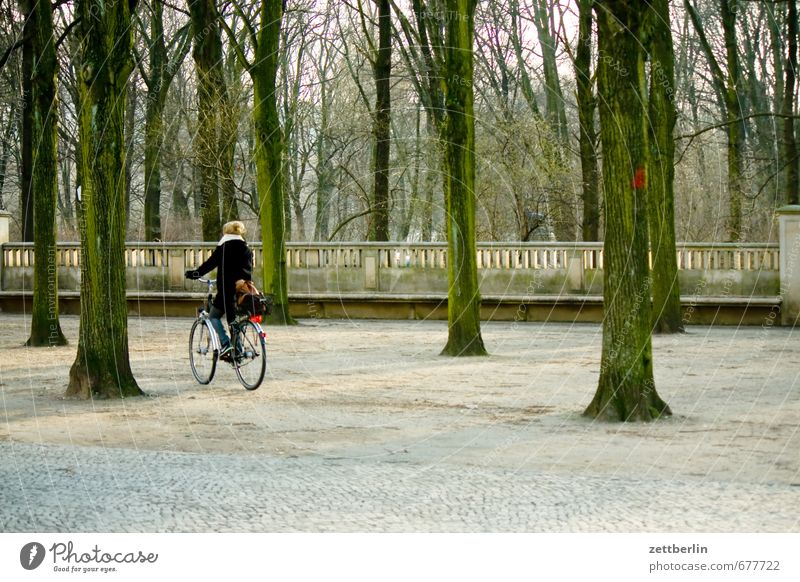 Brandenburg Gate Architecture Berlin Capital city Town City life Landmark Forest Tree Deciduous tree Spring Bicycle Cycling Cycling tour Lanes & trails