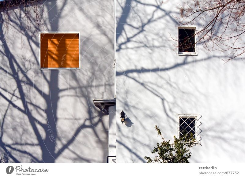 Tree (shadow) Spring Garden House (Residential Structure) Apartment Building Architecture Facade Window Tree trunk Branch Twig Shadow Residential area