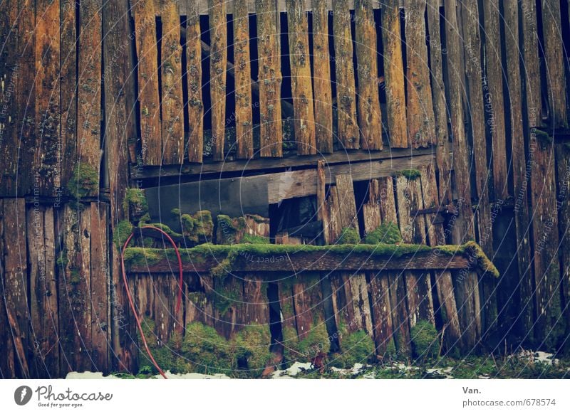 live better Moss Hut Ruin Barn Wood Old Brown Derelict Wooden board Hose Colour photo Subdued colour Exterior shot Detail Deserted Day