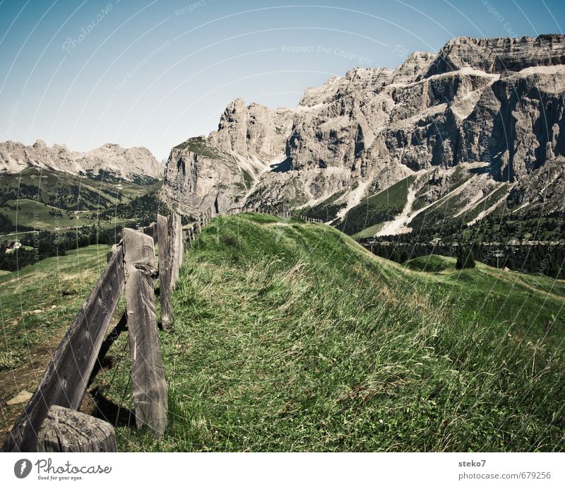 cowplanks Summer Beautiful weather Grass Alps Mountain Natural Blue Gray Green Vacation & Travel Dolomites Pasture Fence Wood Alpine pasture Colour photo