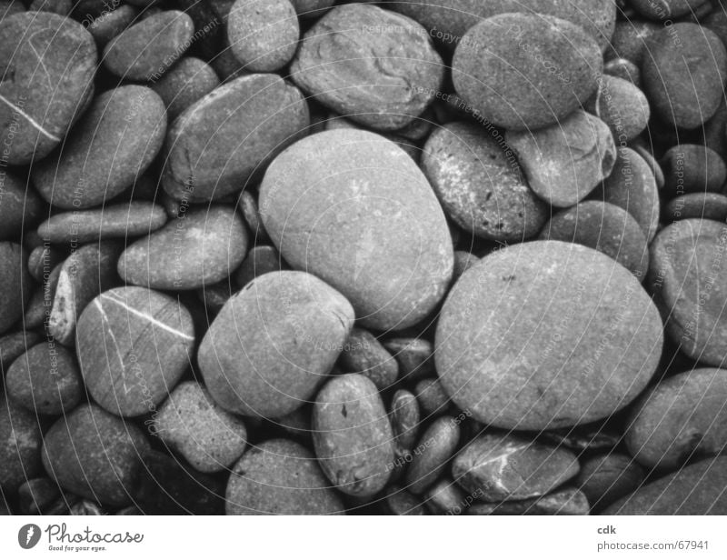 stony | gray in gray | stones and pebbles on the beach. Pebble Accumulation Multiple Heap Gray Beach Gravel beach Large Small Round Difference Similar Stony