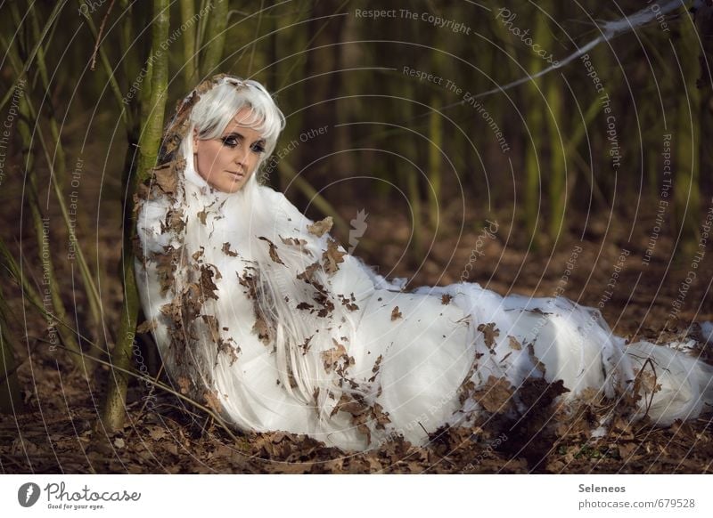 hibernation Human being Feminine Woman Adults 1 Environment Nature Autumn Winter Leaf White-haired Long-haired Wig Caterpillar To hibernate Colour photo