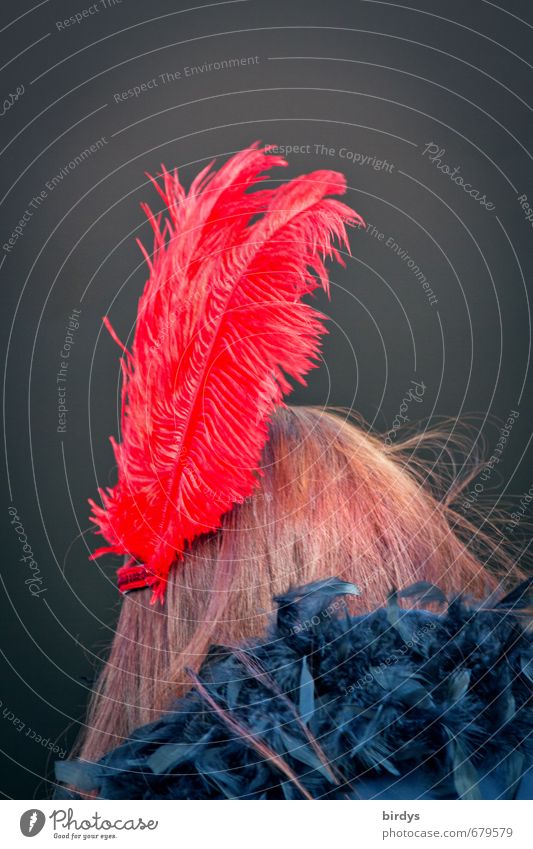 arrayed Style Feminine Young woman Youth (Young adults) Head Hair and hairstyles 1 Human being Fashion Feather headdress Boa Accessory Brunette Illuminate