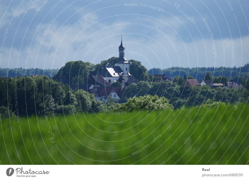 View of the church Clergyman Nature Summer Beautiful weather Tree Grass Field Bad Wünnenberg Paderborn district Village Small Town Skyline Deserted