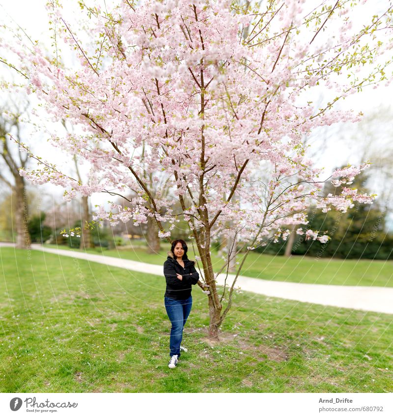 ::200:: Cherry blossom dream Feminine Woman Adults 1 Human being 30 - 45 years Plant Beautiful weather Tree Cherry tree Park Meadow Fresh Green Pink Contentment