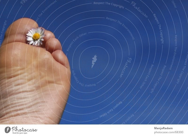 let all fives be straight ... Sky Shoe sole Toes Daisy Recklessness Blue Beautiful weather Feet Far-off places Barefoot