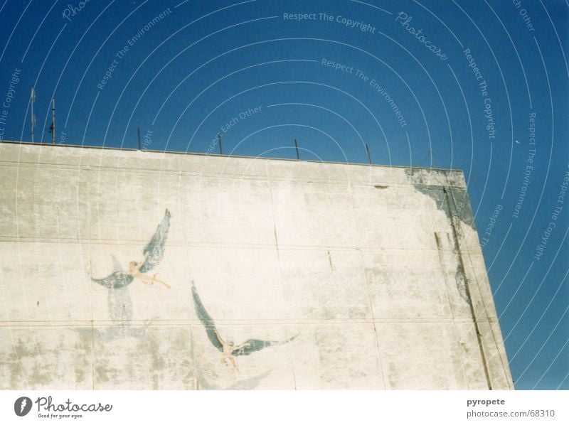 Angel fly ... Building Wall (building) Facade Crumbled Greece Heraklion Vacation & Travel Painting and drawing (object) Sky Blue Old