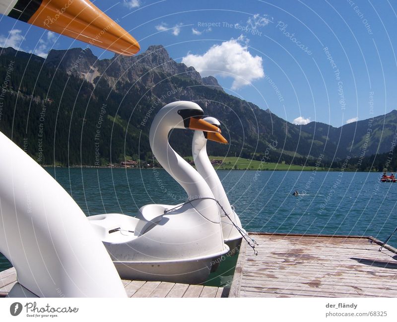 swan lake Swan Lake Austria Sun Pedalo Footbridge Summer Mountain