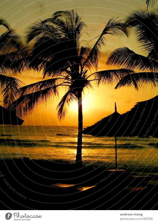 Sunrise at the Indian Ocean Palm tree Couch Roof Sunshade Waves Relaxation Dusk Morning Sunset Stairs sunrise sea Water Evening wave chill Dawn