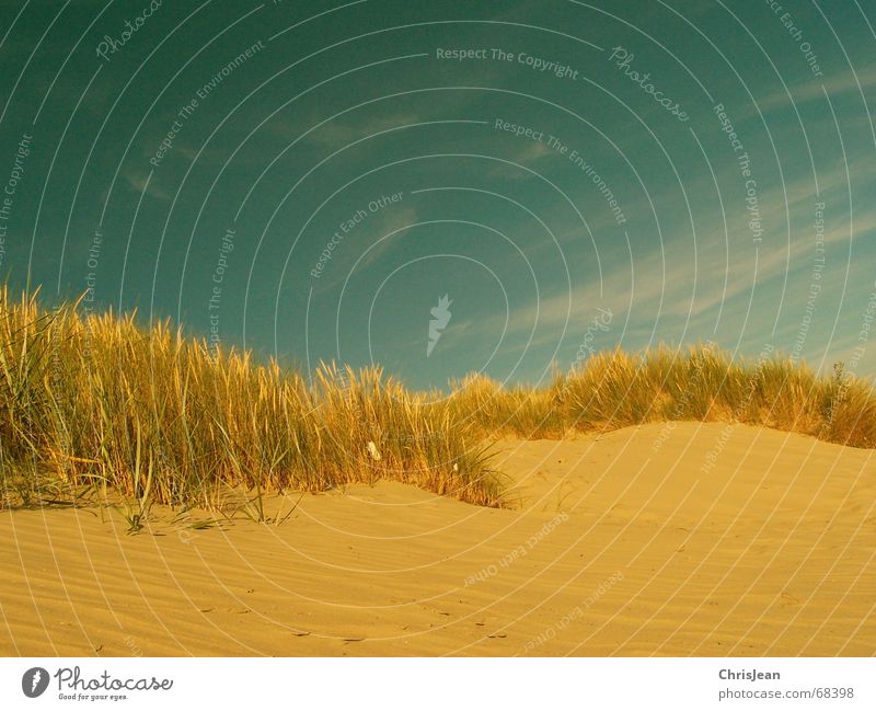 dune Beach Processed Borkum Beach dune Sand sandgrass beach grass Sky Protection North Sea
