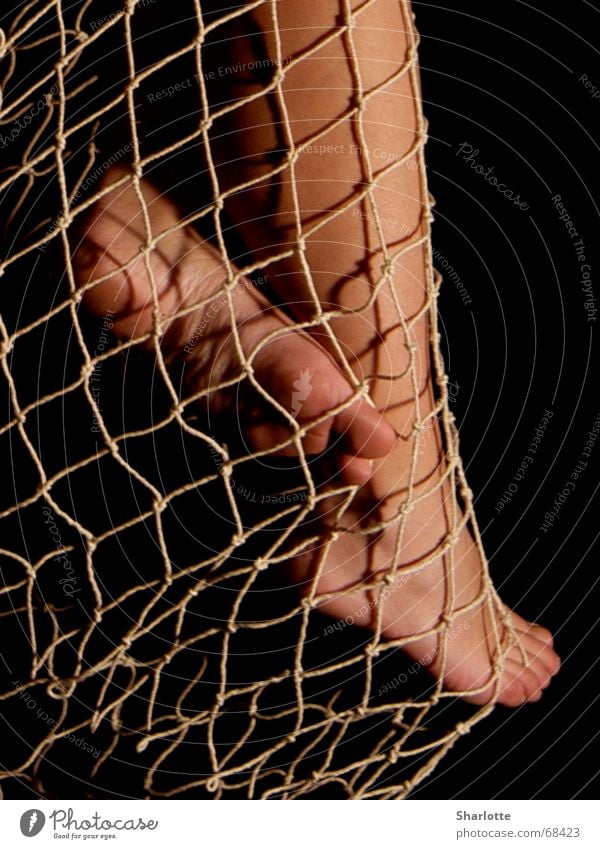 wetted feet Fishing net Toes Sole of the foot Calf Net Feet Legs Ankle Barefoot