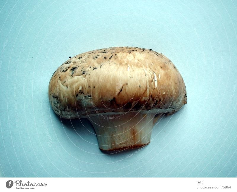 mushroom Healthy Delicious plicity Button mushroom
