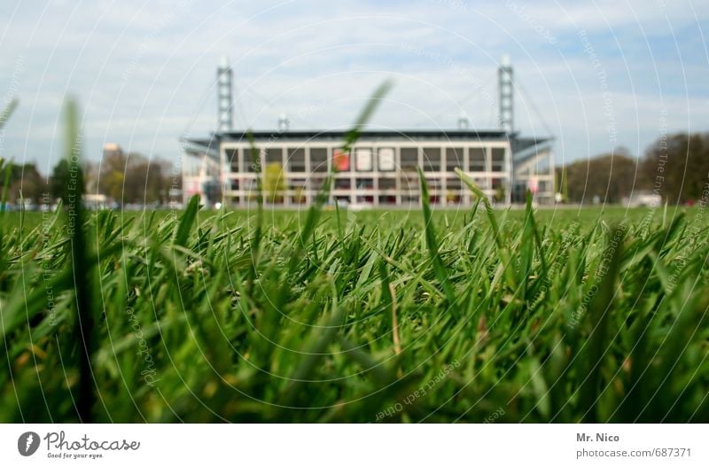 pilgrimage site Ball sports Sporting Complex Football pitch Stadium Environment Nature Sky Grass Meadow Manmade structures Sports Green National league