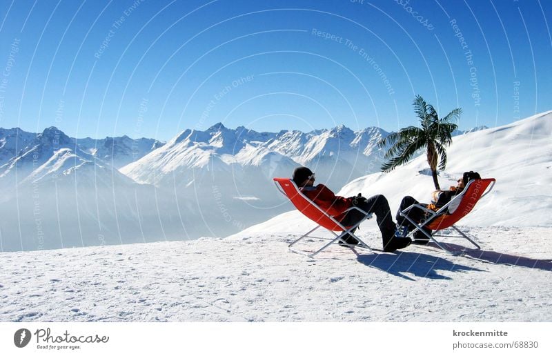 oasis Après ski Deckchair Mountain range Winter sports Break Palm tree To talk Friendship Vacation & Travel Relaxation Switzerland Engadine Leisure and hobbies