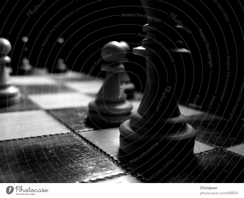chess Field Dark Lose White Playing Beat Traces of time Timeless Stagnating Calm Light and shadow Shadow black Chessboard scared win Detached