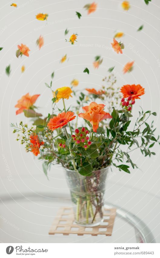 bouquet Bouquet Faded To dry up Yellow Orange Flower Plant Beautiful Gerbera Table Summerflower Spring Aviation Delicate Colour photo Interior shot Close-up