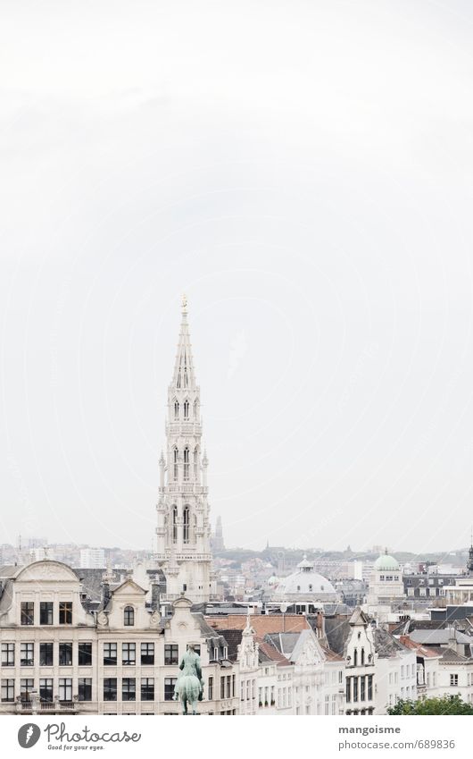 the beige city. Old town Skyline Church Dome Manmade structures Architecture Roof Marketplace Brussels City hall Expectation Politics and state