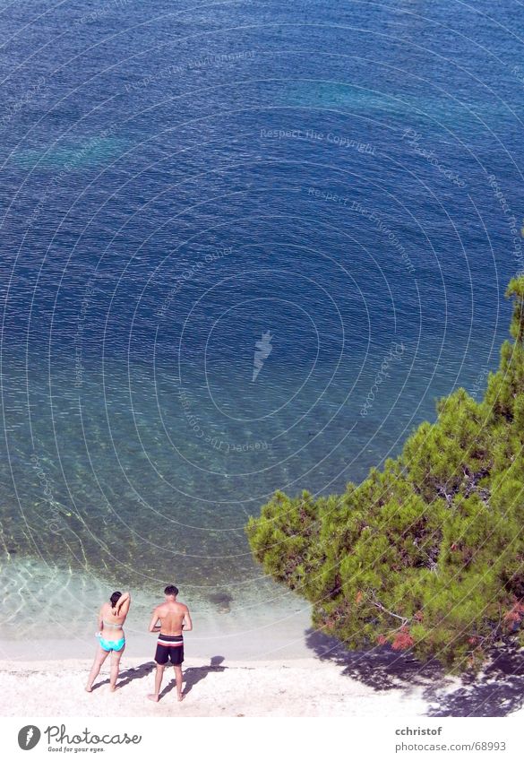 you first Beach Ocean Croatia Bikini Swimming trunks Man Woman Green Water Human being Couple Blue In pairs
