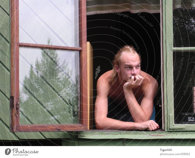 rest in sweden Calm Safety (feeling of) Friendliness Man Blonde Long-haired Think Thought Nostalgia Window Window frame Reflection Tree Portrait photograph