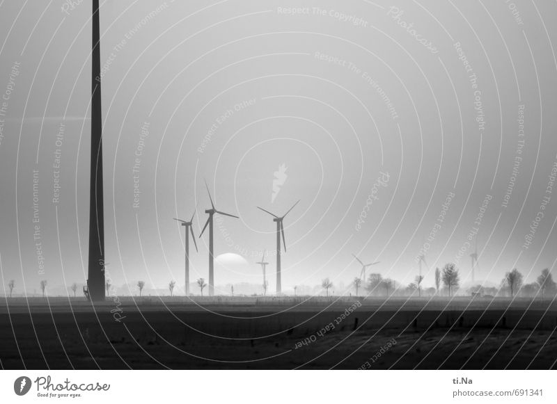 births Wind energy plant Landscape Sunrise Sunset Spring Grass Meadow Field Rotate Large Sustainability Black Silver White Horizon Tourism Environment