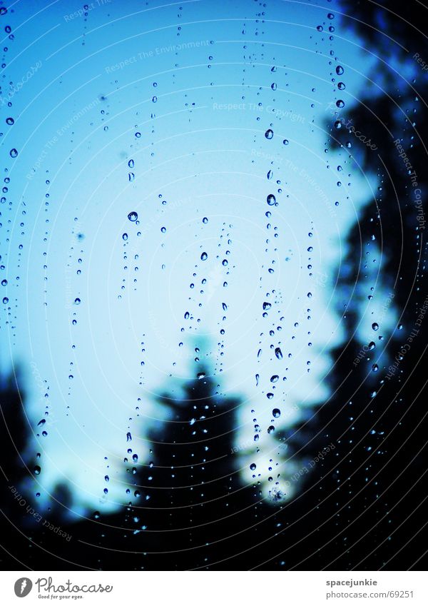 through the window Rain Drops of water Blur Window Window pane Tree Water Glass