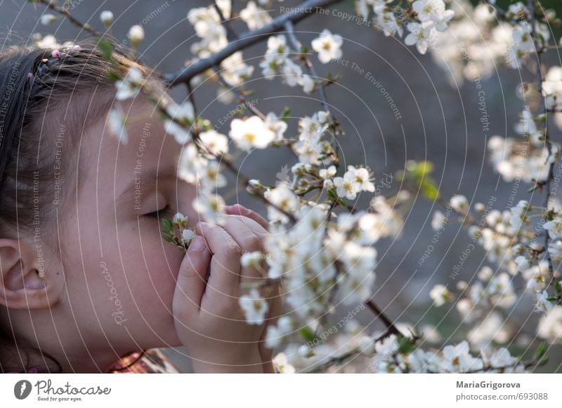 Spring sense Freedom Garden Child Girl Face 1 Human being 3 - 8 years Infancy Nature Sun Beautiful weather Tree Blossom Blossoming Happiness Good Natural Cute