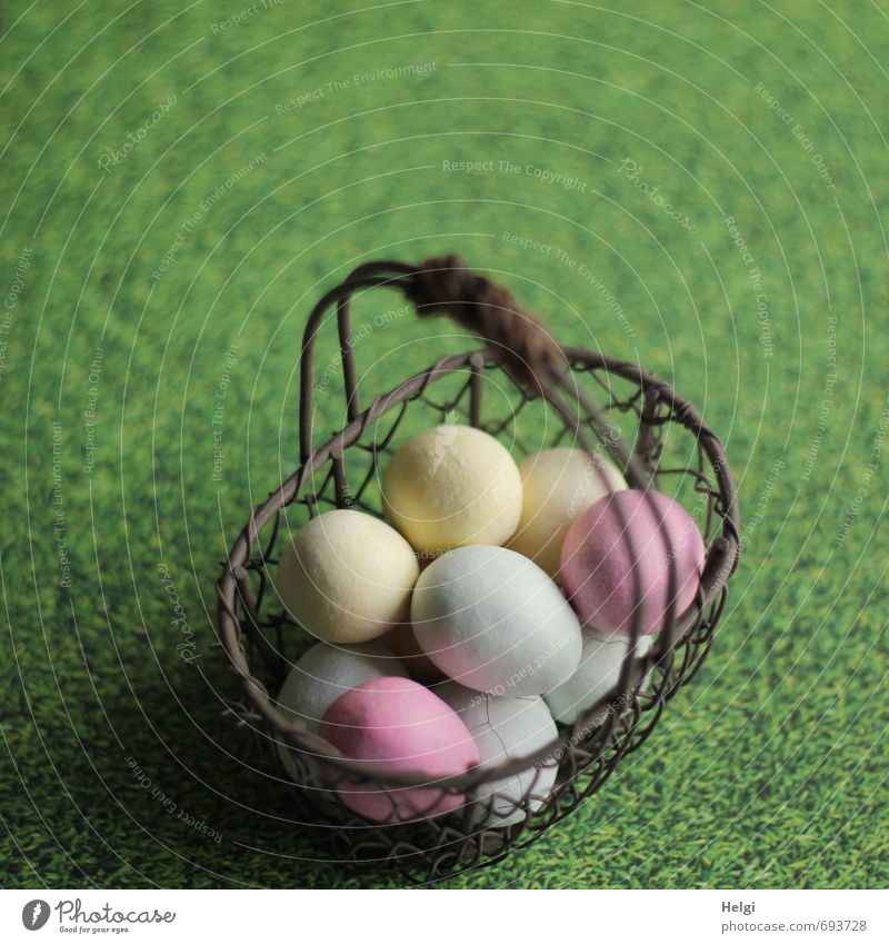 collected... Food Candy Egg Easter egg Nutrition Grass Meadow Decoration Basket Wire basket Metal Lie Stand Esthetic Exceptional Uniqueness Delicious Brown