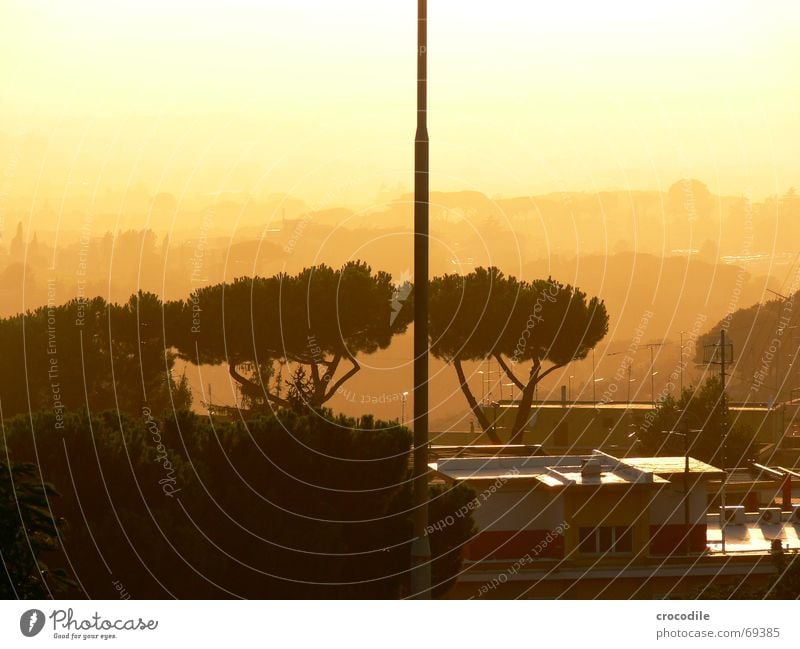 evening sun Tree Sunset House (Residential Structure) Italy Blur Fog Unclear Antenna met