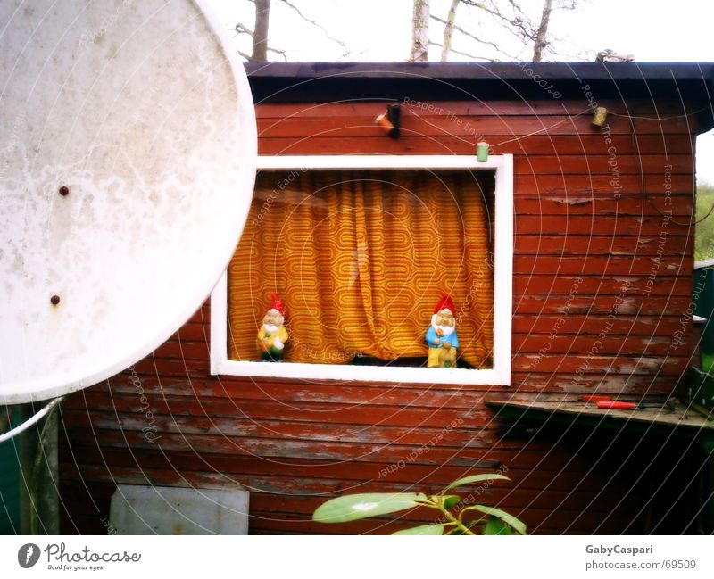 idyllic Garden gnome Petit bourgeois Camping Window White Wood Camping site Exterior shot Funny Old with curtain Hut color peels off weekend house Sat bowl