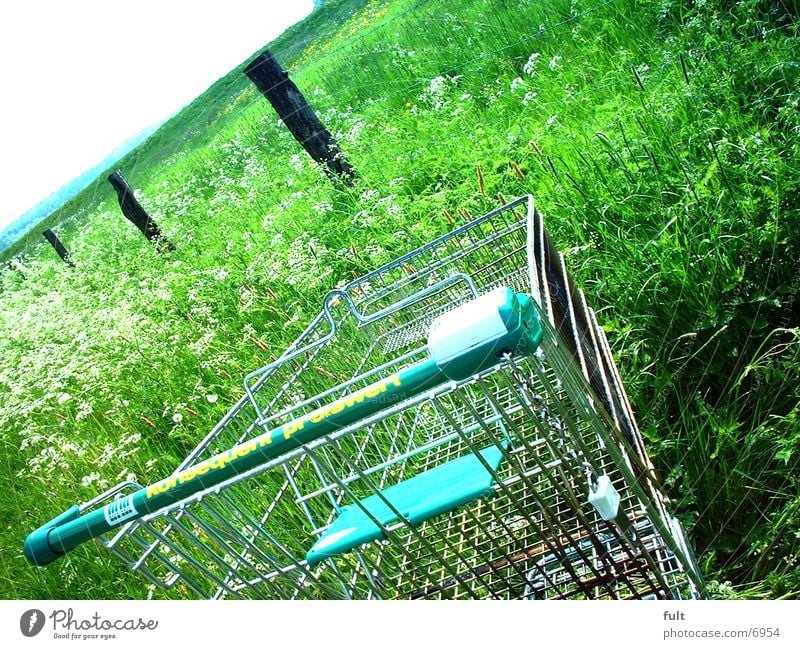 health food store Shopping Trolley Grass Mountain Contrast