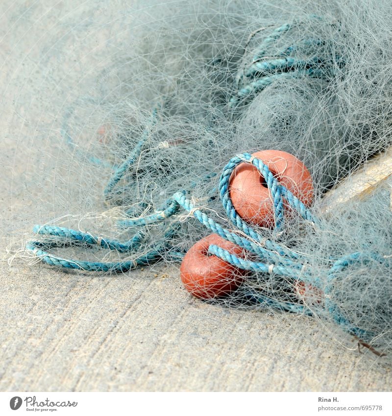 Network * 800 * Fishery Authentic Orange Turquoise Fishing net Square Colour photo Exterior shot Deserted Copy Space left Copy Space bottom